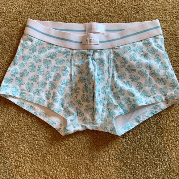 zara boxer briefs